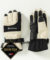 phenix/フェニックス phenix GORE Womens Gloves フェニックスゴアWsグローブ レディース/スキー/スノーグローブ/グローブ/手袋/5本指/ゴア/507734560