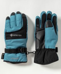 phenix/フェニックス phenix GORE Womens Gloves フェニックスゴアWsグローブ レディース/スキー/スノーグローブ/グローブ/手袋/5本指/ゴア/507734560