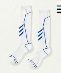 phenix/フェニックス phenix Phenix Ski Womens Line Socks フェニックススキーWsラインソックス レディース/スキー/ソックス/靴下/507734590
