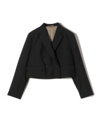 SHIPS WOMEN/SHIPS Primary Navy Label: モヘヤ ポプリン クロップド ジャケット/507737011