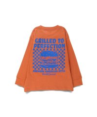 BRANSHES/【DRC/お肌に嬉しい綿100％】アソートグラフィック長袖Tシャツ/507737613