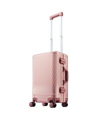 Jewelna Rose/ジュエルナローズ Jewelna Rose 新商品/エース/トーキョーレーベル/アルゴナム2ーF×ジュエルナローズ/スーツケース機内持込32L/フレーム【tok/507739378