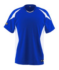 DESCENTE/ベースボールシャツ/503513499