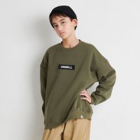 D.FIT/ディフィット D.FIT 裏起毛 BIGトレーナー BIGシルエット スウェット プルオーバー ボックスロゴ ワッペン/507770169