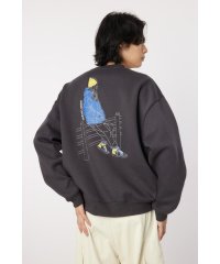 RODEO CROWNS WIDE BOWL/backgirl スウェット/507784271