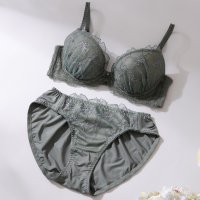 palissee/パリーゼ Palissee 【EFカップ】アザレアラメレースブラ＆ショーツ ナイスフィットシリーズ【返品不可商品】/507786624