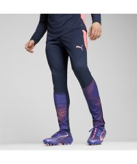 PUMA/メンズ サッカー INDIVIDUAL ファイナル トレーニング パンツ/506976684