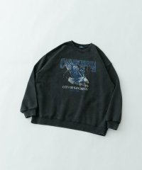 ITEMS URBAN RESEARCH/『XLサイズあり』パウダー加工 クルーネックスウェットプルオーバー/507794578