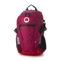 DELSEY/デルセー DELSEY PARIS 【 DELSEY 公式】 NOMADE バックパック リュック 12L Sサイズ 軽量 ノートPC保護 アンチRFID/507795384