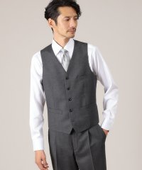 TAKEO KIKUCHI/【DORMEUIL AMADEUS365】ピンストライプ ベスト/3ピース対応/507798530