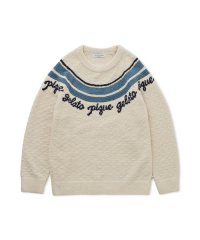 GELATO PIQUE HOMME/【HOMME】パウダーラインロゴジャガードプルオーバー/507798704