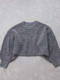 QUEENS COURT/クイーンズコート QUEENS COURT スパンコールニットショートトップス/507801184