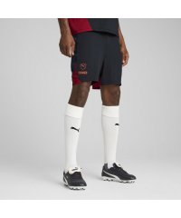 PUMA/メンズ サッカー キング プロ ショーツ/506976643