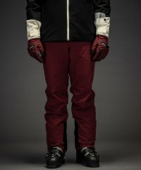 phenix/フェニックス phenix Legacy 4Way Stretch Pants レガシー4WAYストレッチスノーパンツ メンズ/スキーウェア/スキーパンツ/507804596