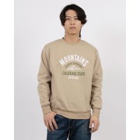 STYLEBLOCK/スタイルブロック STYLEBLOCK 裏起毛プリントクルーネックトレーナー/507806942