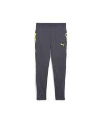 PUMA/キッズ サッカー INDIVIDUALCUP トレーニング パンツ 120－160cm/507808384