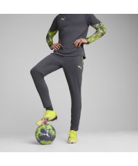 PUMA/メンズ サッカー INDIVIDUALCUP トレーニング パンツ/507808398