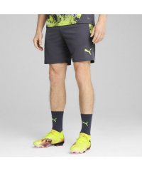 PUMA/メンズ サッカー INDIVIDUALCUP ショーツ/507808400