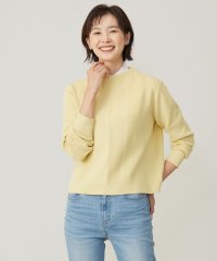 J.PRESS LADIES（LARGE SIZE）/【洗える】CLEAR COTTON BLEND ボトルネック ニット/507821174