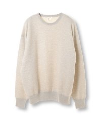 FUSE/【WLP/ダブルエルピー】COTTON WOOL FLEECE/CREW NECK PO/507839072
