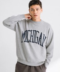 URBAN RESEARCH Sonny Label/スウェットライクロゴニットプルオーバー/507853116