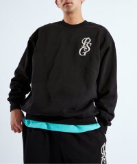 Paris Saint-Germain/PSG JP ITALIC LOGO SWEAT/507857281