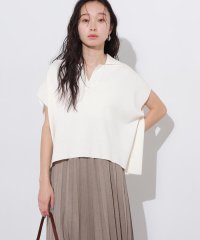 N Natural Beauty Basic/リラックスポロニット/507807785