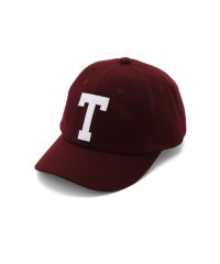 THE NORTH FACE/【THE NORTH FACE】TNFLogoFlannelCap/507862002