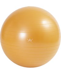 ALINCO/アルインコ ALINCO アルインコ エクササイズボール65cm オレンジ WBF065D/506278377