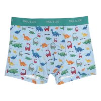 PAUL & JOE/ポールアンドジョー PAUL&JOE PAUL & JOE 恐竜柄パート2 ボクサーパンツ 【返品不可商品】/507865859