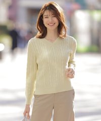 J.PRESS LADIES（LARGE SIZE）/【洗える】GIZA MERCERIZE COTTON ケーブル ニット/507798510