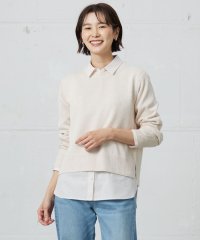 J.PRESS LADIES/【洗える】Reeves  Shine クルーネック ニット/507866984