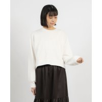 STYLEBLOCK/スタイルブロック STYLEBLOCK スウェットショートプルオーバー/507872818