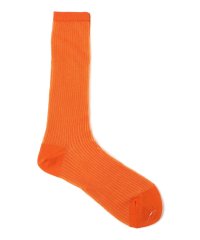 SHIPS WOMEN/Piedi Nudi:針抜き ハイソックス/507882113
