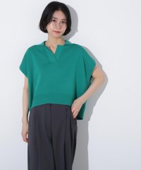 N Natural Beauty Basic/リラックスポロニット/507807785