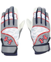 UNDER ARMOUR/アンダーアーマー UNDER ARMOUR UNDER ARMOUR アンダーアーマー UA アンディナイアブル プロ バッティンググローブ両/506336640