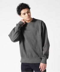 RoyalFlash/DENHAM/デンハム/REMY SWEAT PDS/507892495