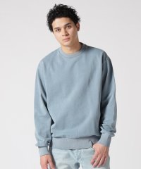 RoyalFlash/DENHAM/デンハム/REMY SWEAT PDS/507892495
