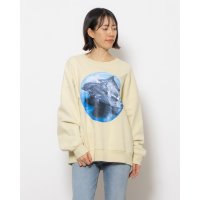 BOTTER/ボッター BOTTER DOLPHINS プリント スウェット プルオーバー/507897885
