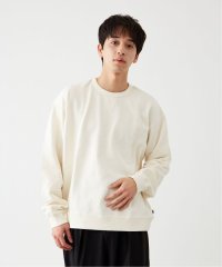 B.C STOCK/【ANTS & ELEPHANTS】ブリーチクルーネックスウェット/507900248