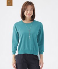 TRANS WORK(L)/【L】【ウォッシャブル】ファインゲージコンビニットプルオーバー/507846250
