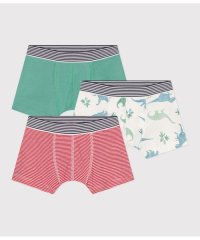 PETIT BATEAU/トランクス３枚組/507912706