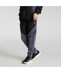 PUMA/メンズ トレーニング TAD ニット パンツ/507913121