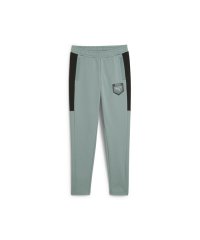 PUMA/ボーイズ アクティブ スポーツ グラフィック パンツ 120－160cm/507913142