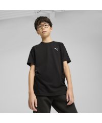 PUMA/ボーイズ エヴォストライプ 半袖 Tシャツ B 120－160cm/507913144