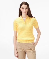 TOMMY HILFIGER/トミー ヒルフィガー TOMMY HILFIGER ケーブルポロニット/507909775