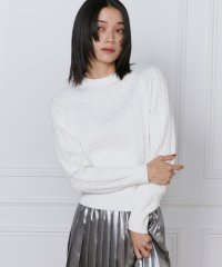 INED/イネド INED ケーブルニット/507919430