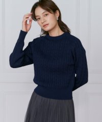 INED/イネド INED ケーブルニット/507919430
