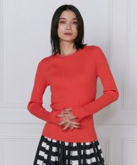 INED/イネド INED 《大きいサイズ》シアードッキングリブニット/507919436
