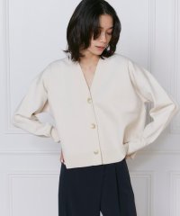 INED/イネド INED 《大きいサイズ》スムースカーディガン/507919440